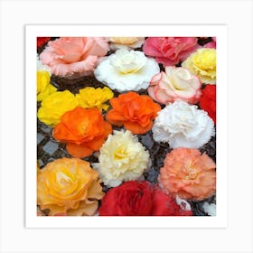 Roses In Water Art Print