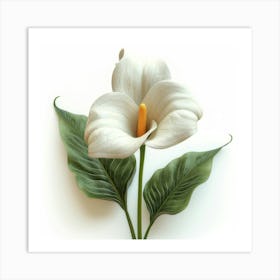 White Calla Lily Poster