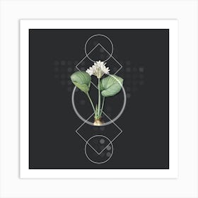Vintage Cardwell Lily Botanical with Geometric Line Motif and Dot Pattern n.0175 Art Print