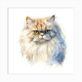 Colorpoint Persian Cat Portrait 1 Art Print