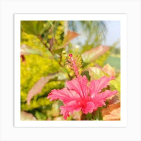 Hibiscus Flower Art Print