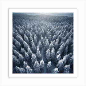 Winter Forest 7 Art Print