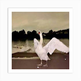 Swans In A Pond Art Print