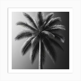 Black And White Palm Tree 2 Art Print