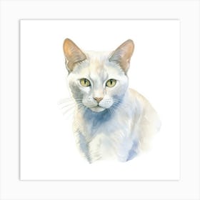 Burmilla Shorthair Cat Portrait 2 Art Print