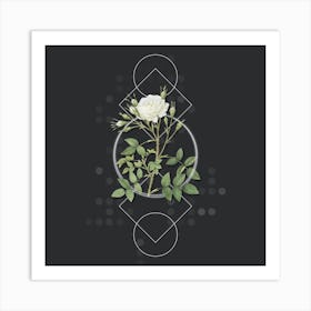 Vintage White Rose of Rosenberg Botanical with Geometric Line Motif and Dot Pattern n.0034 Art Print