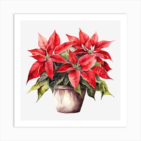 Poinsettia In A Pot 1 Art Print