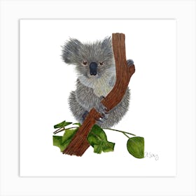 Koala 2 Art Print