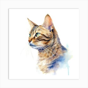 Zambian Cat Portrait 2 Art Print