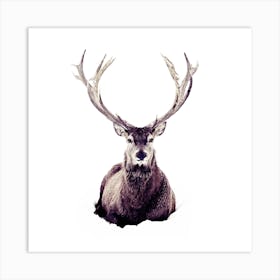 Stag In Snow 3 Square Art Print