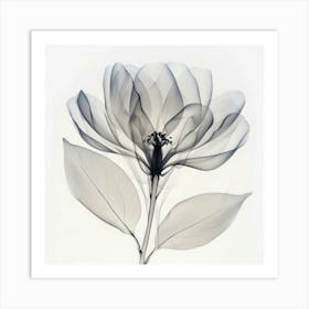 Floral Art 0007 Floral 0006 Botanical Assets 0004 Bp6586 Minimalist Soft Bright X Ray Scandinavian Minimalist 37aad850 Art Print