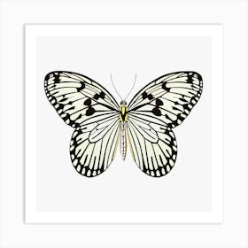 Butterfly Black & White Art Print