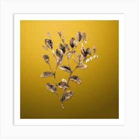 Gold Botanical Andromeda Axillaris Bloom on Mango Yellow n.3687 Art Print