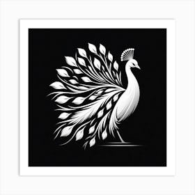 Peacock On Black Background Art Print