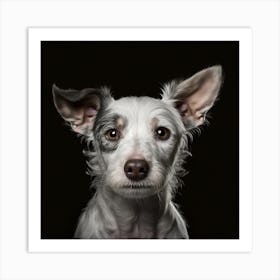 Portrait Of A Dog 9 Art Print