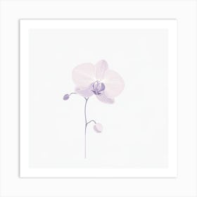 "Ethereal Orchid: Delicate Beauty"  "Ethereal Orchid" celebrates the delicate beauty and subtle elegance of the beloved flower. This digital art piece, with its soft lavender hues and gentle lines, offers a modern take on botanical art. Ideal for adding a touch of sophisticated floral charm to any space, this artwork captures the orchid's serene and graceful poise. Perfect for those who appreciate the refined simplicity and timeless allure of nature's own masterpieces. Art Print