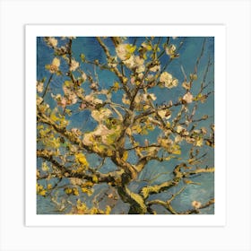 Blossoming Almond Tree 7 Art Print