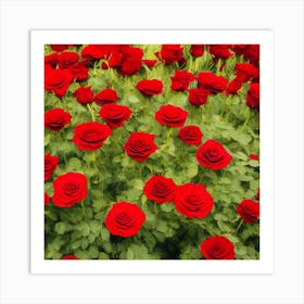 Red Roses 1 Art Print