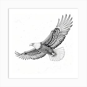 Bald Eagle Art Print