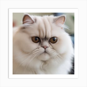 Persian Cat Art Print