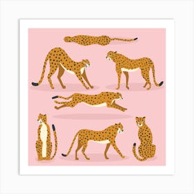 Cheetahs On Pink Square Art Print