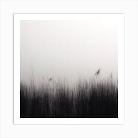 Reeds In The Mist Square Art Print