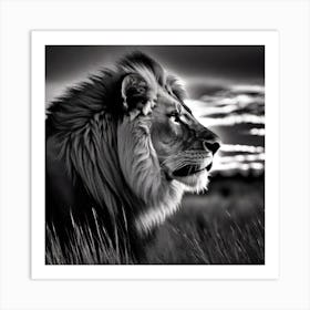 Lion In The Grass 3 Art Print