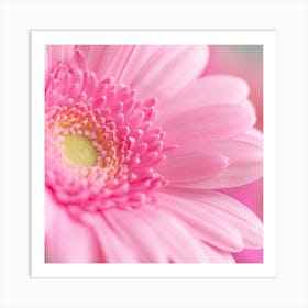 Floral gerbera daisy in pink - square flower nature and travel photography by Christa Stroo Photography Art Print