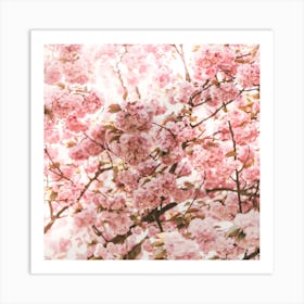 Blossoms Square Art Print