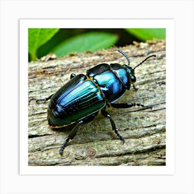 Beetle Insect Bug Coleoptera Exoskeleton Antennae Wings Black Colorful Small Crawling Car (5) Art Print