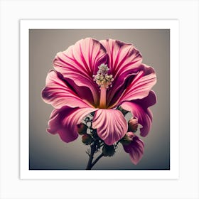 Hibiscus Flower 2 Art Print