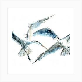 Herons In Flight Art Print