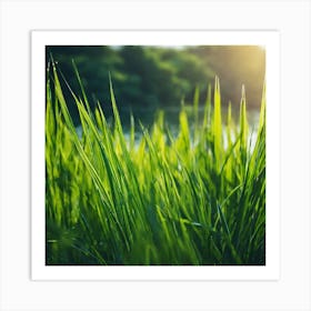 Grass In The Sun 1 Art Print