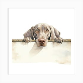 Weimaraner Dog 1 Art Print