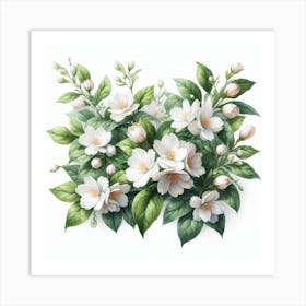 Flowers of Jasmine 4 Art Print