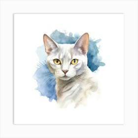 Burmilla Shorthair Cat Portrait 1 Art Print