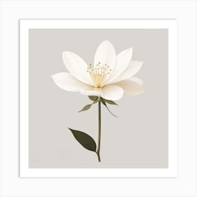 White Flower Art Print