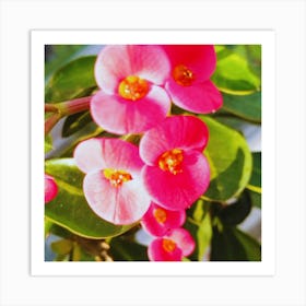 Pink Flowers 3 Art Print