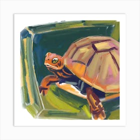 Box Turtle 02 Art Print