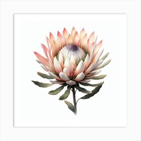 Protea 4 Art Print