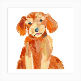 Labradoodle 03 Art Print