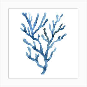 Blue Coral 1 Art Print