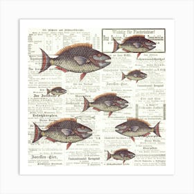 Fish Fishes Against The Current Art Print