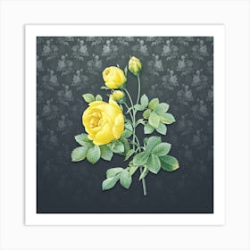 Vintage Yellow Rose Botanical on Slate Gray Pattern n.2231 Art Print