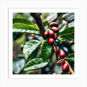 Coffee Beans On A Tree 40 Art Print