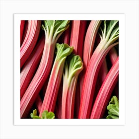 Rhubarb 7 Art Print