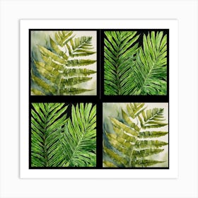 Four Fern Leaves Art Print