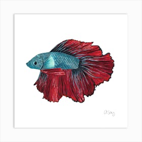 Beta Fish. 1 Art Print