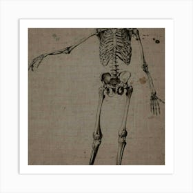 Human Skeleton Art Print