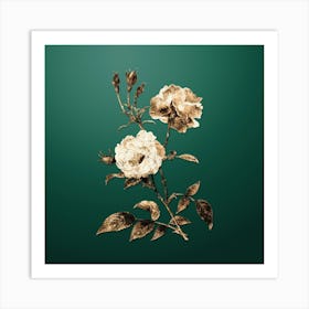 Gold Botanical Ever Blowing Rose on Dark Spring Green n.4618 Art Print